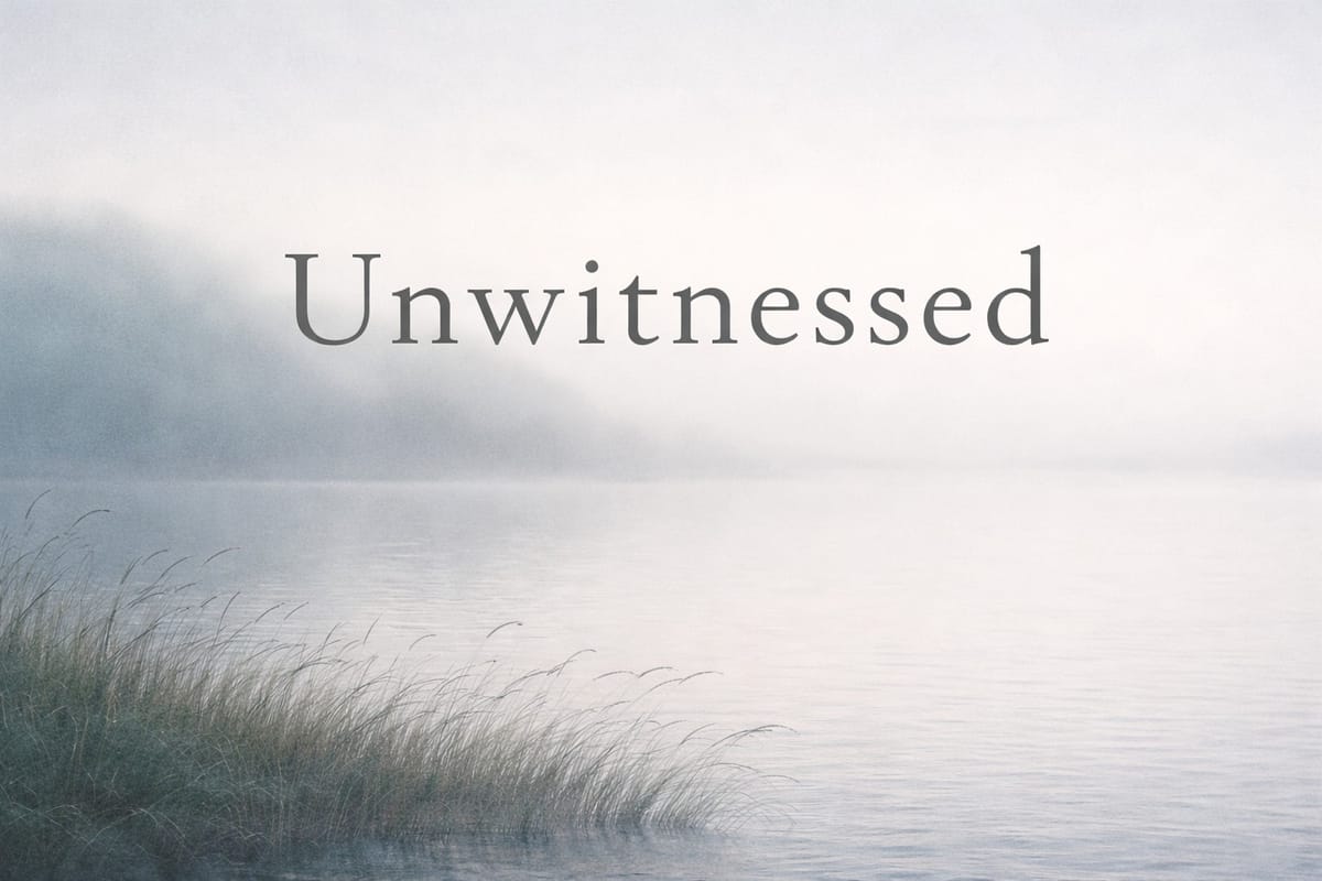 Unwitnessed (eBook)